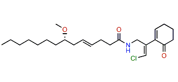 Isomalyngamide K